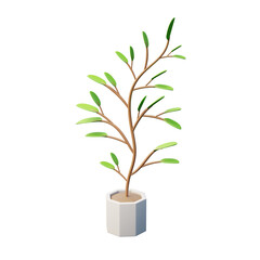 Inch Plant 3d illustration