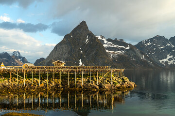 Stockfisch in Reine auf den Lofoten, Norwegen