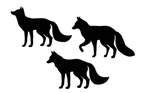 Fox silhouette set. Vector illustration isolated on white background