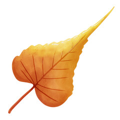 Autumn leaves in watercolor style. PNG