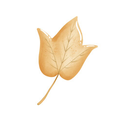 Autumn leaves in watercolor style. PNG