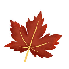 Autumn leaves in watercolor style. PNG