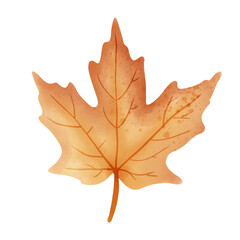 Autumn leaves in watercolor style. PNG