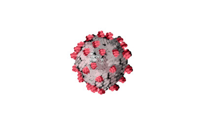 coronavirus under the microscope