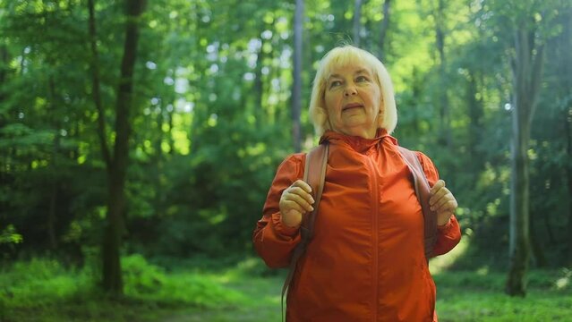 Tourist woman with backpack walking in deciduous forest. Active adult leisure of hiking in green valley. Person enjoy wanderlust and view. Female hiker explore of wildlife. High quality FullHD footage