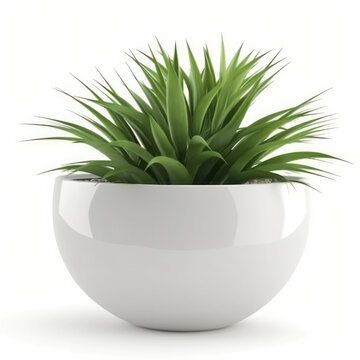 Contemporary meets botanical with this stylish white planter holding a vibrant green plant. Enhance your decor with a chic and trendy touch of nature. AI Generative.
