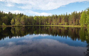 Fototapeta na wymiar Lake in the Karelian forest. Beautiful summer landscape with a pond and trees.