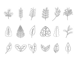 Set of hand drawn botanical herbs and leaf decorative vector design