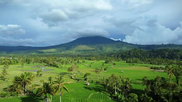 Aerial video A beautiful view of rice fields with the Seulawah Agam mountain in the background, in Aceh province, Indonesia.