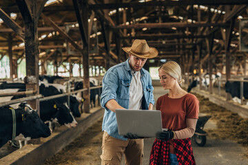 A man and a woman are using laptop in a barn.