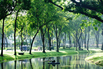 beautiful background images
Shady park and nature in Bangkok, exercise, cycling, pedal boating