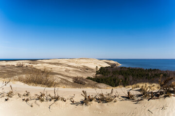 The Gray Dunes, or the Dead Dunes is sandy hills with a bit of green specks at the Lithuanian side of the Curonian Spit