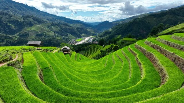 Rice terraces in Mu cang chai, Vietnam. Beautiful landscape in Vietnam.