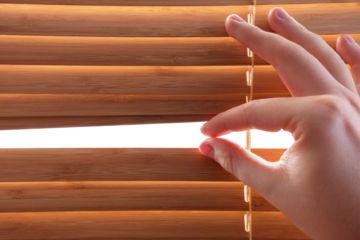 Peeking through window blinds, transparent isolated copy-space