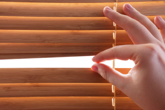 Peeking through window blinds, transparent isolated copy-space
