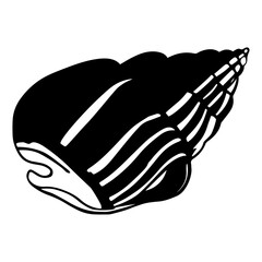 Hand Drawn Graphic Sketch of Beautiful Seashell. Seashell graphic illustration isolated on white