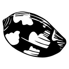 Graphic Illustration of Decorative Seashell. Decorative hand drawn graphic shell isolated on white