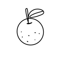 illustration of an orange
