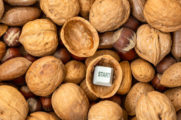Start button in the shell of a walnut