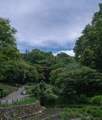 谷間の花菖蒲園の風景