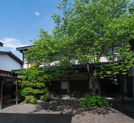 谷間の花菖蒲園の風景