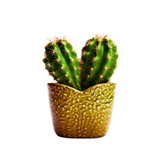  Cactus in a pot. Stock image for decorating a scene or background.