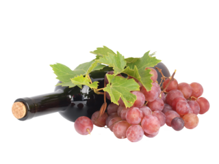 Red wine bottle isolated 