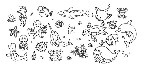 Sea animals, set of line illustration. Vector.