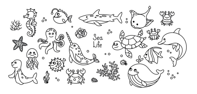 Sea animals, set of line illustration. Vector.