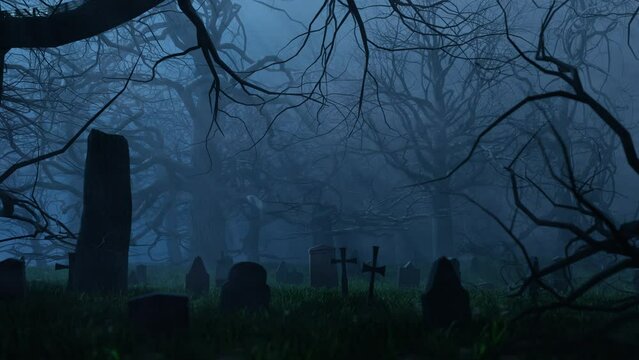 Leafless trees and graves in cemetery at night. 3d animation