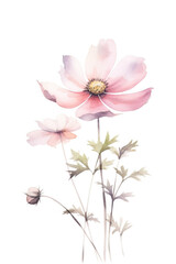 Naklejka na ściany i meble Watercolor flower, summer illustration. Floral Background. Generative AI.