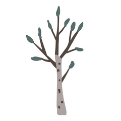 Hand drawn vector birch tree icon. Doodle Scandinavian style illustration isolated on white background. Cute element for design
