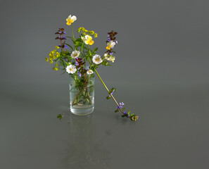 Simple composition with meadow flowers. Minimalism.