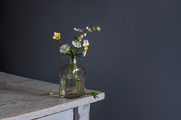 Simple composition with meadow flowers. Minimalism.