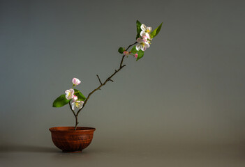 Simple composition with flowers. Minimalism.