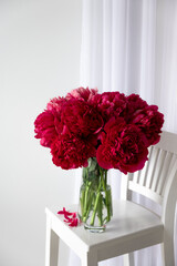 Bouquet of purple peony flowers in full bloom in glass vase on white background. Minimalist floral still life.