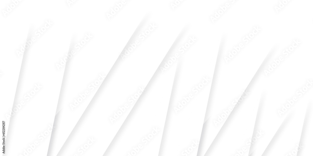 Poster white paper background texture. abstract geometric background . abstract background with lines . bus