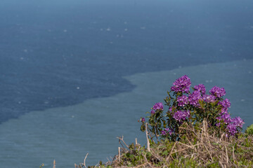 The Bristol Channel two tone sea and coastline from North Hill in Minehead