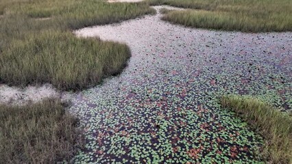 Stunning Aerial Shot of Wetlands in Florida Everglades at Sunset