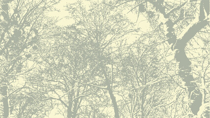Vector abstract dirty grunge background with tree branches chaotic tangled in winter with snow on it.