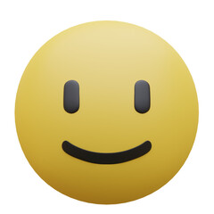 Fototapeta premium Slightly Smiling Face