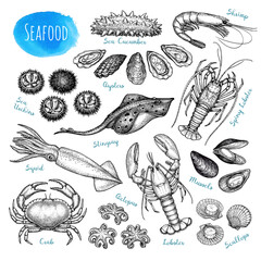 Seafood ink sketch collection.