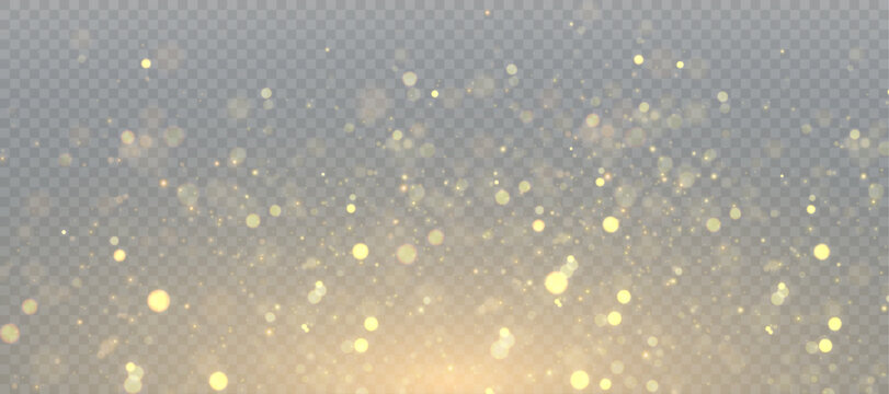 Sparkling golden magic dust particles bokeh on transparent background, Christmas sparkle light effect, sparkle, shine lights, yellow dust sparks and star shine with special light, vector illustration.