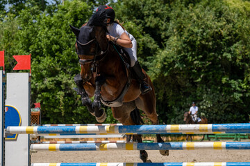 Show jumping competition on horseback. Horse Jumping, Equestrian Sports, Show Jumping themed photo.
