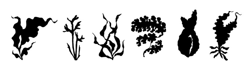 Set of seaweed silhouettes. Vector graphics.