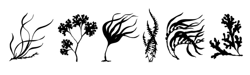Set of seaweed silhouettes. Vector graphics.