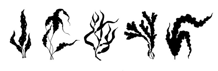 Set of seaweed silhouettes. Vector graphics.