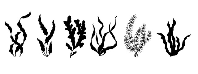 Set of seaweed silhouettes. Vector graphics.