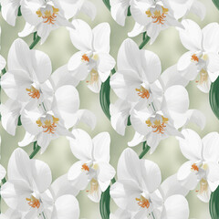 Fototapeta premium white orchids