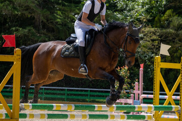 Show jumping competition on horseback. Horse Jumping, Equestrian Sports, Show Jumping themed photo.
